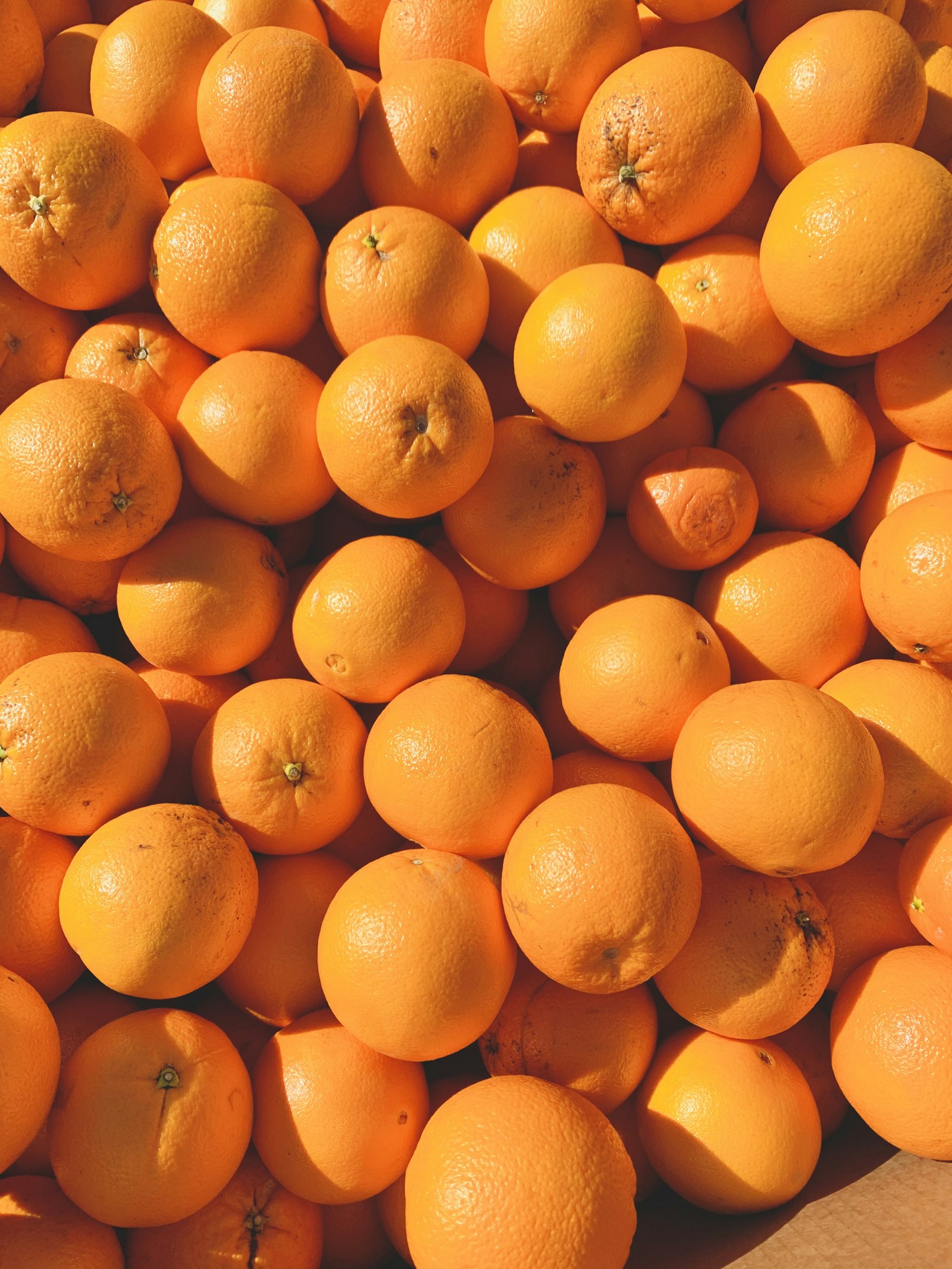 Citrus Oranges